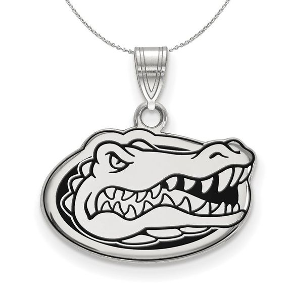 Sterling Silver U. of Florida Small Enamel Necklace - 20 Inch - Picture 1 of 7